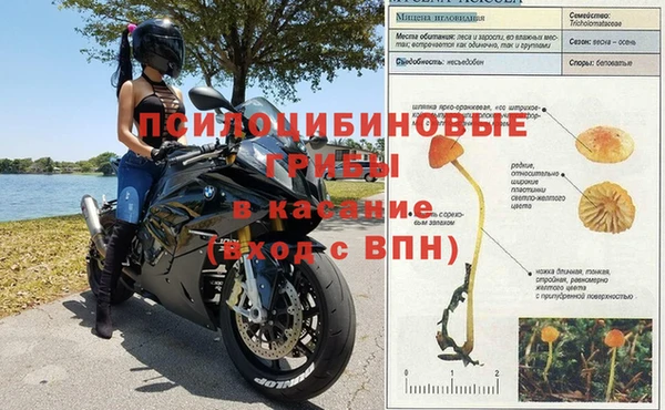 эйфоретик Алексеевка
