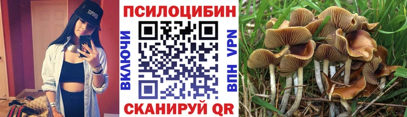 Псилоцибиновые грибы Magic Shrooms  Карпинск 